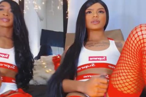 Twin lady-man Giving Each Other A sexy cook jerking