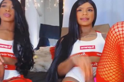 Twin ladyboy Giving Each Other A pretty cook jerking