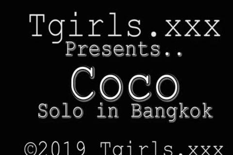 sheboys Xxx Xmas peculiar nice-looking Coco!