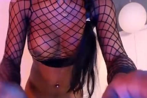 ladyboy receives cock erect