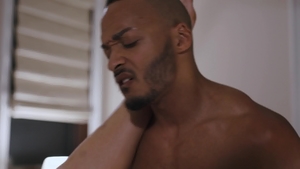 TransSensual: Exploring the Unknown with Diaz