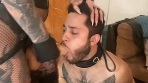 mistresse, Transexual, And serf