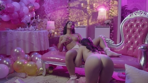 Muses: MUSES: A New Chapter for Transfixed Fans