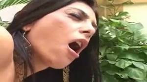 she Brasil Or Male asian-she-Male