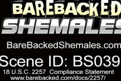 busty brunette hair playgirl gets A horny pooper