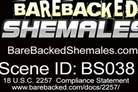 latin chick Tbabe wazoo team-poked doggystyle